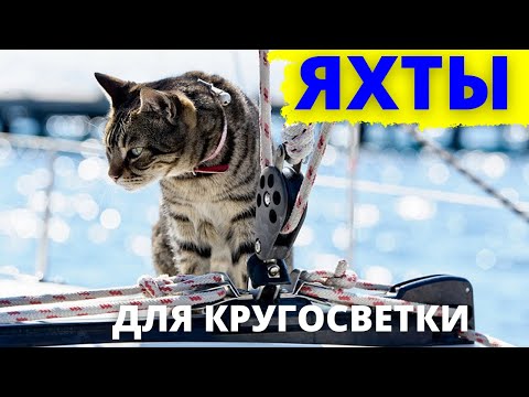 Видео: ЯХТЫ для кругосветного путешествия и СЕКРЕТНЫЙ ОСТРОВ тысячи котов