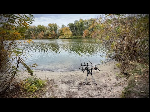Видео: Рыбалка на карпа на дикаре осенью!!!