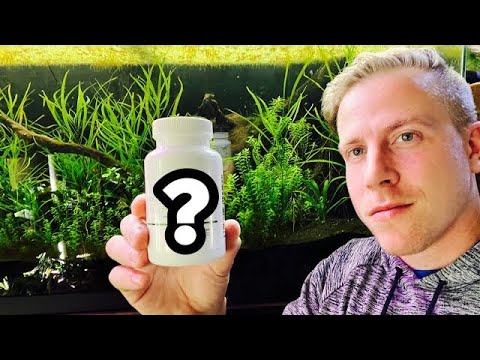 Видео: Как мгновенно запустить цикл аквариума без ожидания