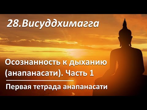 Видео: 028. VIII.145-185. Осознанность к дыханию (анапанасати). Первая тетрада