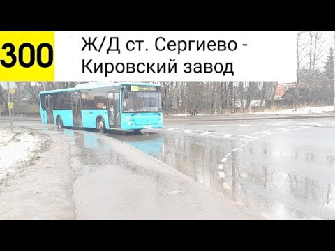 Видео: Автобус 300. Ж/Д ст. Сергиево - Кировский завод