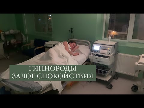 Видео: МОЯ ИСТОРИЯ РОДОВ I КАДРЫ ИЗ РОДДОМА 9 СПБ I Гипнороды без анестезии