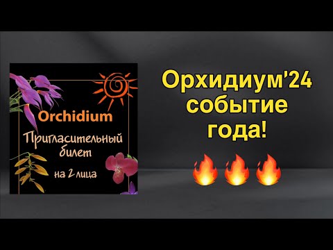 Видео: Весенний «Орхидиум» 2024 - лучшее событие для орхоманов! 🏃‍♀️‍➡️😲🌸