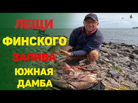 Видео: Рыбалка на Финском заливе. Ловля леща.