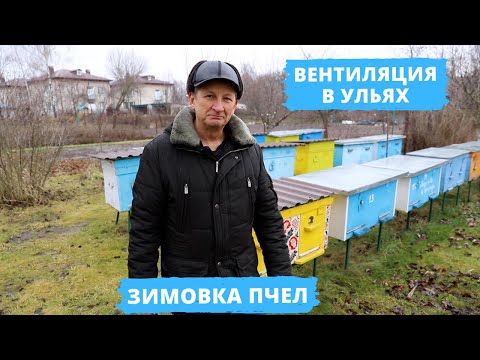 Видео: Как правильно организовать вентиляцию в ульях? | Зимовка пчел