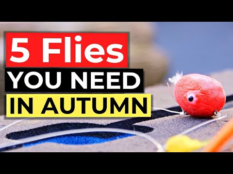 Видео: 5 мушек для ловли форели этой осенью