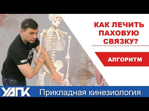 Видео: Семинар Связочные нарушения. Глеб КИРДОГЛО