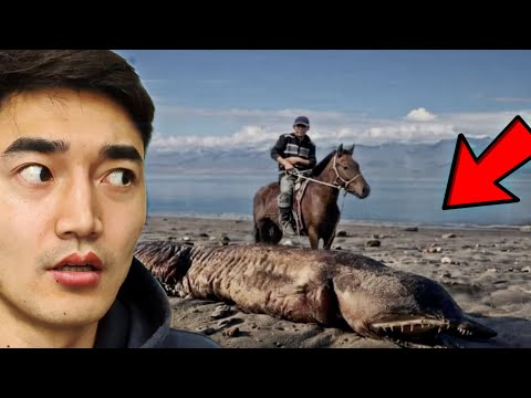 Видео: ҮҮРЭГ НУУРЫН ҮЛЭМЖ БИЕТИЙН ТАЛААР❗