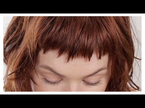 Видео: должен знать Учебник MICRO BANGS