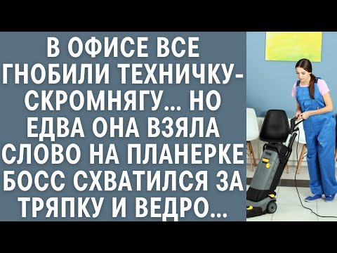 Видео: В офисе все гнобили техничку-скромнягу… Но едва она взяла слово на планерке, босс схватился за ведро