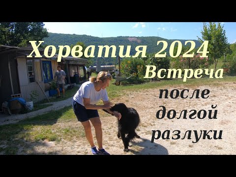 Видео: Хорватия 2024 Встреча после долгой разлуки Что нас ожидает?