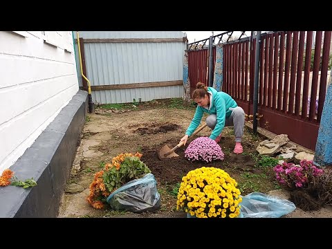 Видео: КУПИЛИ ДОМ./ ВОТ ЭТОГО Я НЕ ОЖИДАЛА.