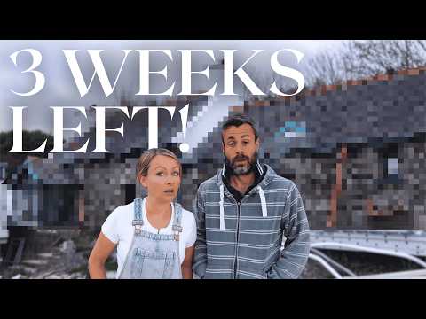 Видео: И наш заброшенный коттедж засиял!