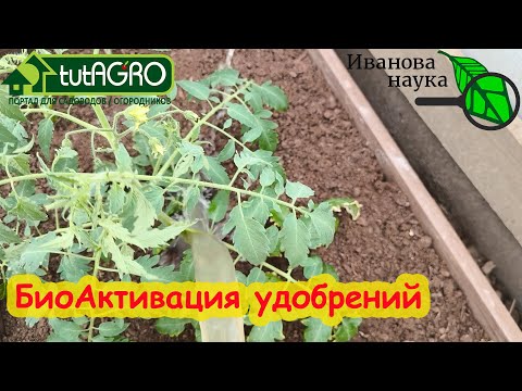 Видео: ПОДКАРМЛИВАЮ ТОЛЬКО ТАК! Не обязательно быть почвоведом и агрохимиком для безопасного сада и огорода