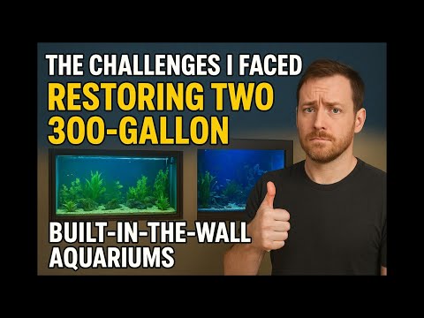 Видео: Проблемы, с которыми я столкнулся при восстановлении двух 300-галлонных встроенных резервуаров