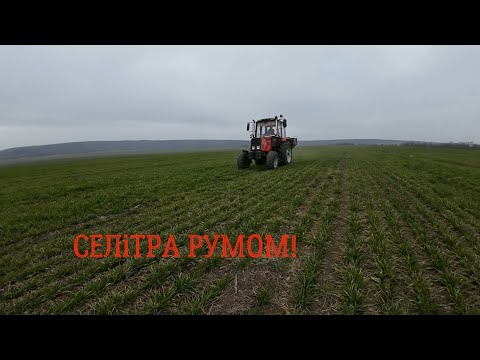 Видео: Вносим селитру Румом! МТЗ 892!