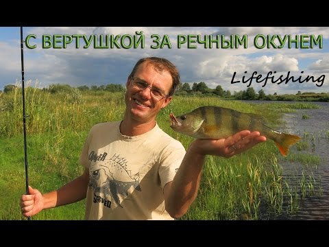 Видео: С вертушкой за речным окунем. Lifefishing
