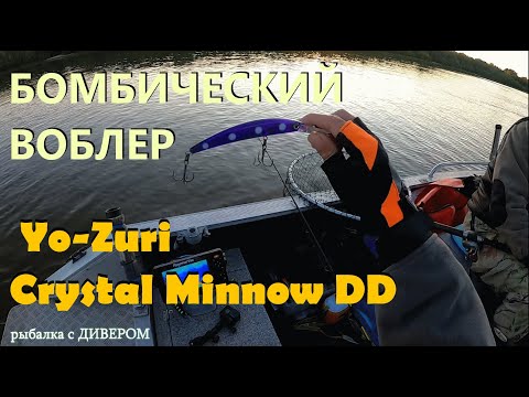 Видео: Этот воблер сделал мне рыбалку, восемь клыкастых подряд на Yo-Zuri Crystal Minnow DD 130мм 6-8м