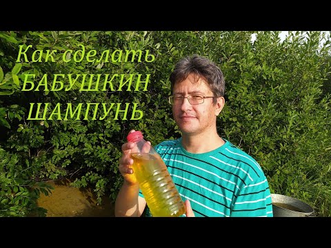 Видео: Как сделать БАБУШКИН ШАМПУНЬ