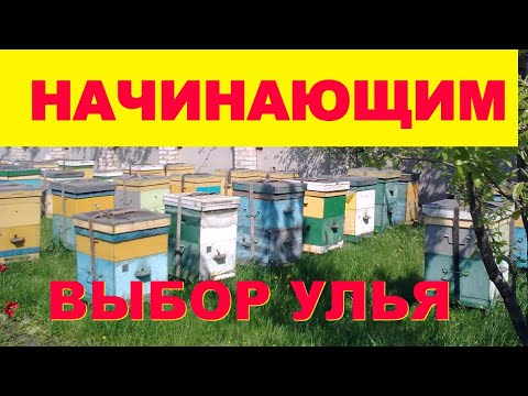 Видео: С чего начать пчеловодство. Какой улей выбрать начинающему пчеловоду.