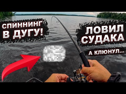 Видео: СПИННИНГ В ДУГУ!!! Ловил судака, а клюнул он