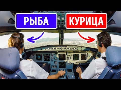 Видео: 16 невероятных фактов о пилотах