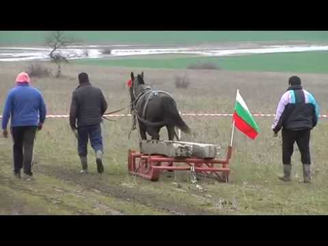 Видео: Конни надбягвания в село Изгрев 2018г