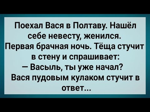 Видео: Как Вася в Полтаве Женился! Сборник Свежих Анекдотов! Юмор!