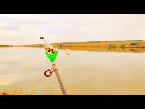 Видео: РЫБАЛКА НА ДОНКИ В КОНЦЕ СЕНТЯБРЯ.