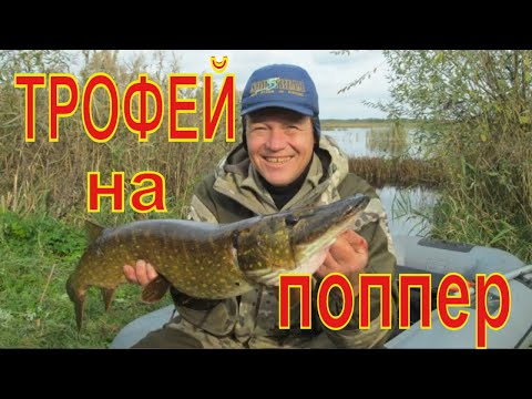 Видео: ПОППЕР обновил РЕКОРДЫ. NORSTREAM Adept. Рыбалка с Лодки