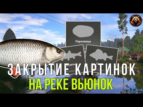 Видео: Русская Рыбалка 4 - река Вьюнок. Закрытие недостающих картинок.