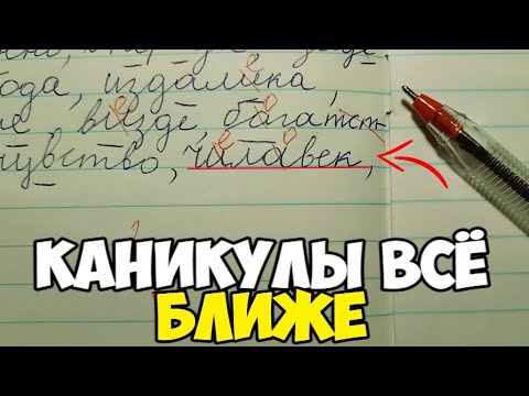 Видео: Проверяю рабочие тетради по русскому языку 4 класс