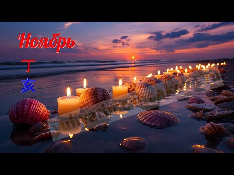 Видео: Огненная свинка ноября 2025: характер месяца, его особенности, прогноз для каждого элемента личности