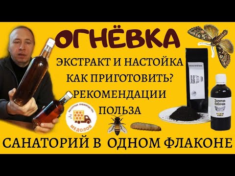 Видео: Экстракт ОГНЕВКИ (восковой моли, золотой бабочки). История, польза, рекомендации. Готовим настойку