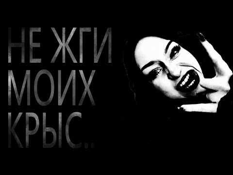 Видео: ЗАЛЕТЕЛИ В СТРАШИЛКУ ПОЛНЫМ СОСТАВОМ #3  | SPOKOYNICH DOTA 2