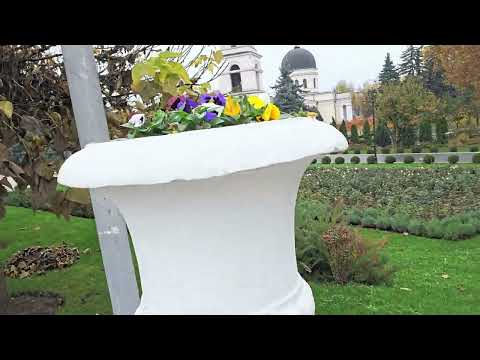 Видео: В парке осенним пасмурным днём. 10.11.25