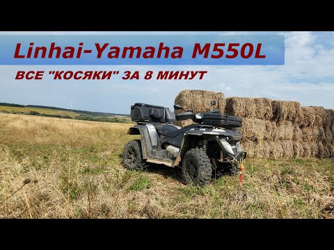 Видео: Linhai-Yamaha M550L через год эксплуатации