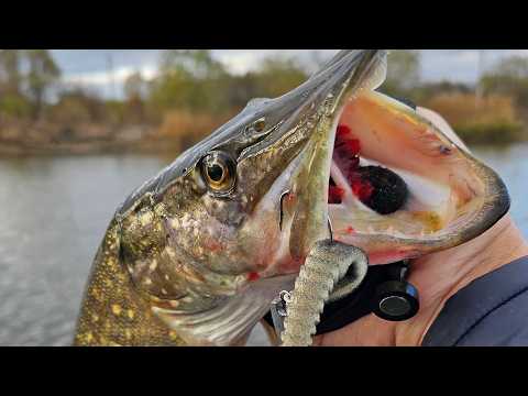 Видео: Ломаю первый лед! Безотказная приманка! Ловлю рыбы на спиннинг зимой