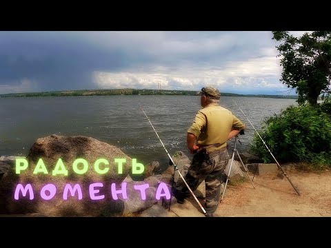 Видео: Как поймать окуня на Днепре - радость момента на рыбалке.
