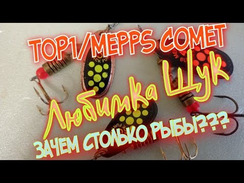 Видео: лучшая вертушка на щуку.С...КА! почему она всегда ловит??? зачем столько рыбы?Mepps Comet/Black Fury