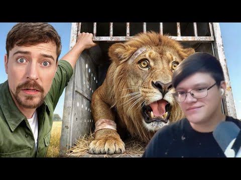 Видео: VIPÁR смотрит «Я Спас 1000 Животных От Гибели»