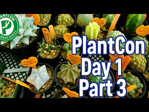 Видео: Изобилие редких кактусов и суккулентов! PlantCon Dallas 2025
