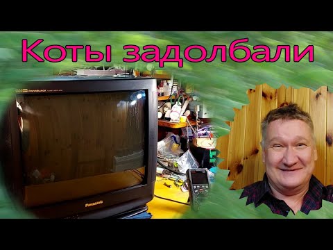 Видео: 500 долларов за Panasonic. Его не любят коты. Теперь не включается. Ремонт телевизора в 2023 году.