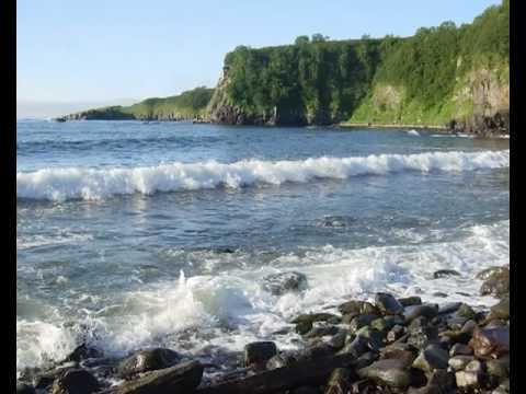 Видео: Природа Советская Гавань