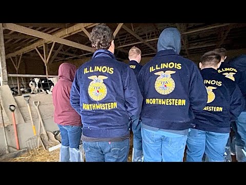 Видео: FFA встречает Beckman Brothers Dairy