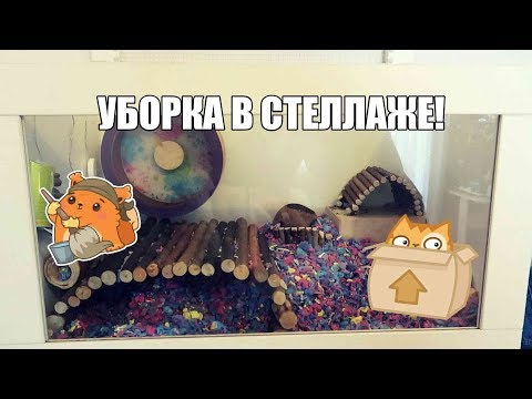 Видео: УБИРАЕМСЯ В СТЕЛЛАЖЕ ПЕСЧАНОК | ОБУСТРАИВАЕМ ЖИЛЬЕ | Aoi Inko