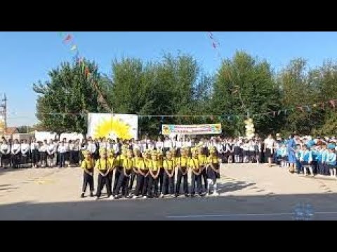 Видео: Миньоны. Миньоны биі. Танец миньоны