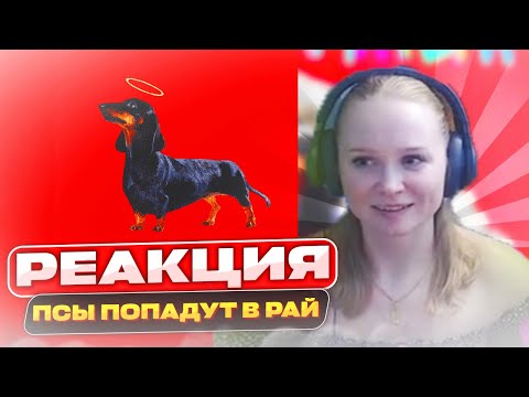 Видео: Реакция на ПОЛМАТЕРИ - псы попадут в рай