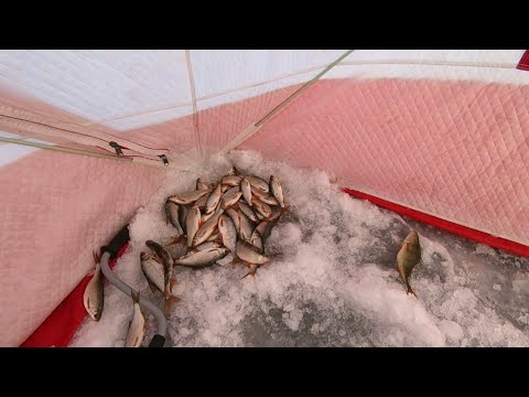 Видео: Бешенный клёв сороги. Карьер/Шелехов/декабрь