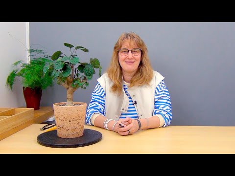 Видео: Формирование полисциаса (ч.3).